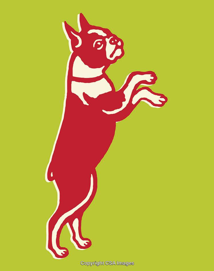 Stylized Line Art Illustration of a Dog Standing Against a Green Background