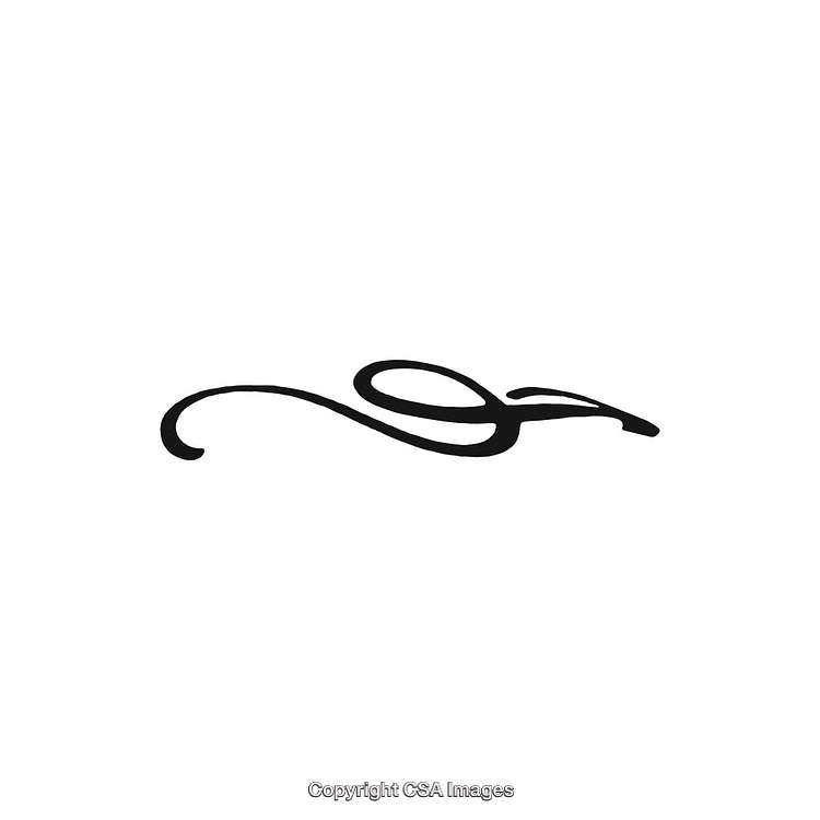 Elegant Black and White Decorative Design Ornament Illustration