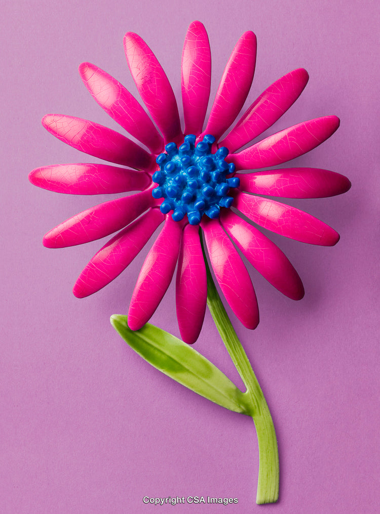Vibrant Pink and Blue Toy Flower on Elegant Purple Background