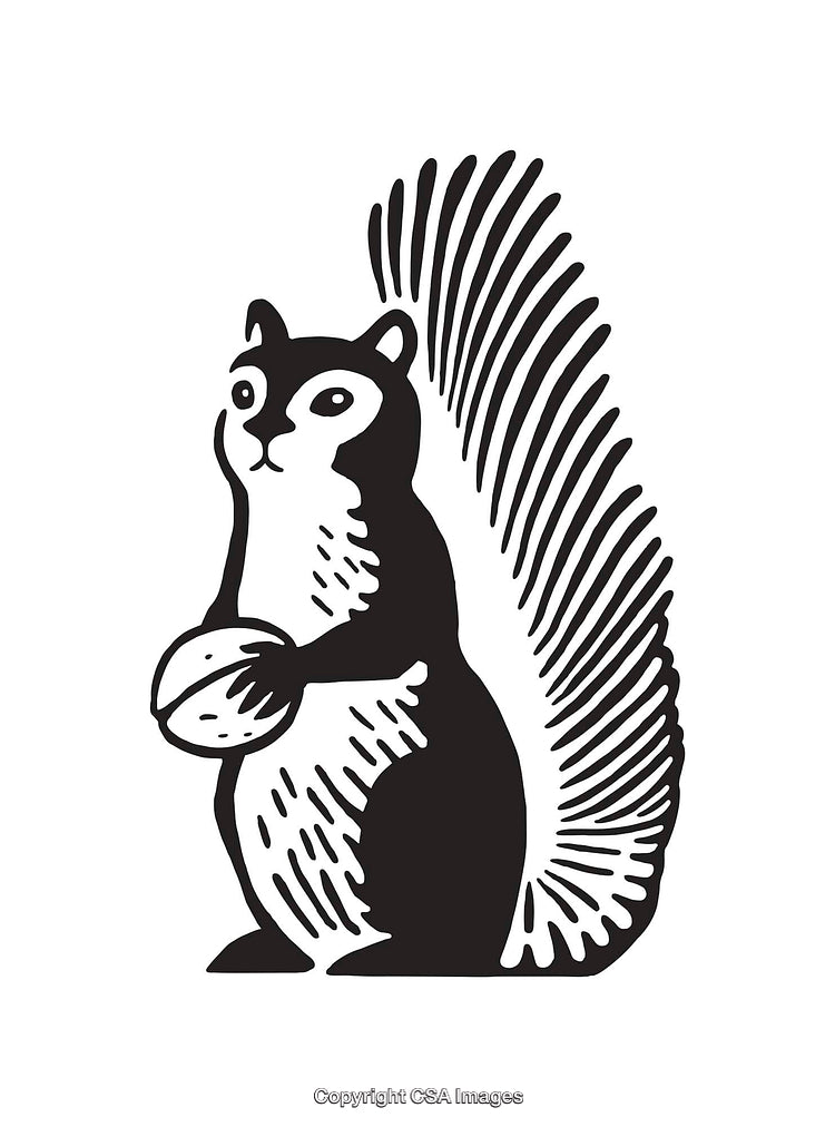 Black and White Line Art Illustration of a Squirrel Holding a Nut