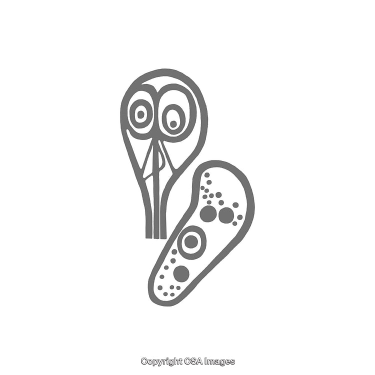 Abstract Dingbat Design with Unique Shapes and Patterns in Monochrome