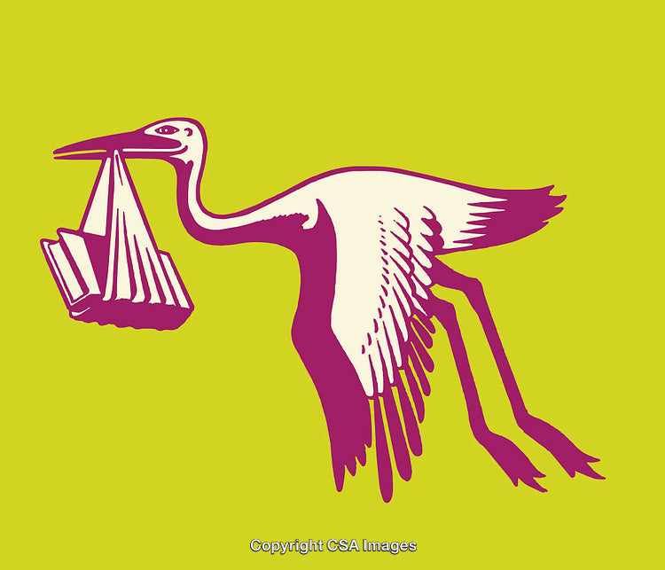 Colorful Design of Stork Carrying Bundle in Vibrant Line Art Style