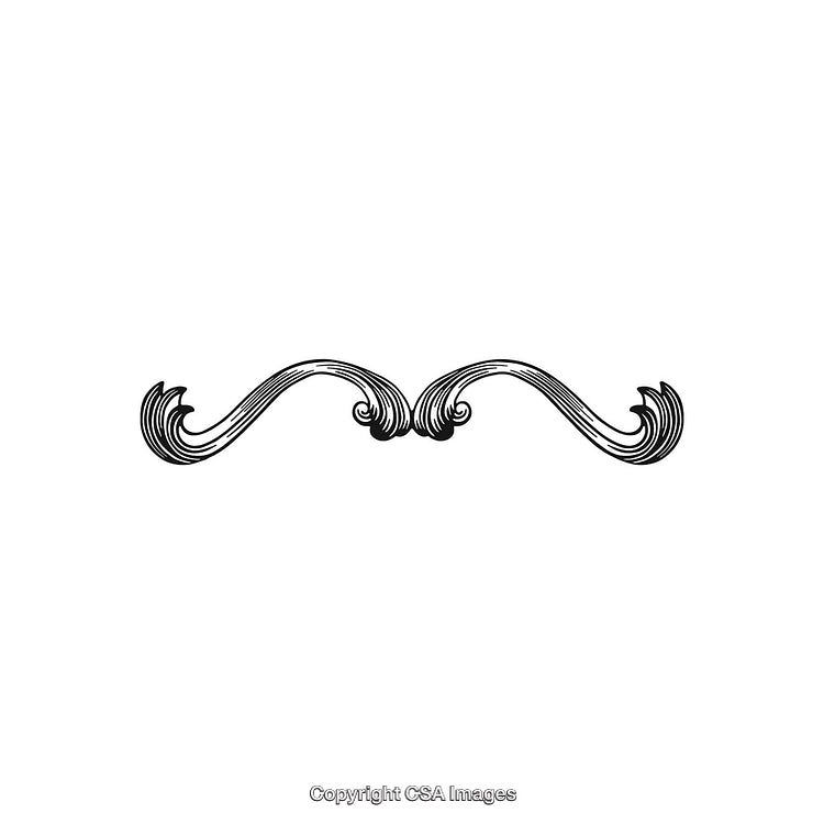 Black and White Decorative Ornamental Flourish Design Element Illustration