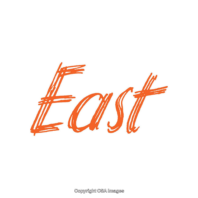 Orange Scribbled Text of 'East' on a White Background