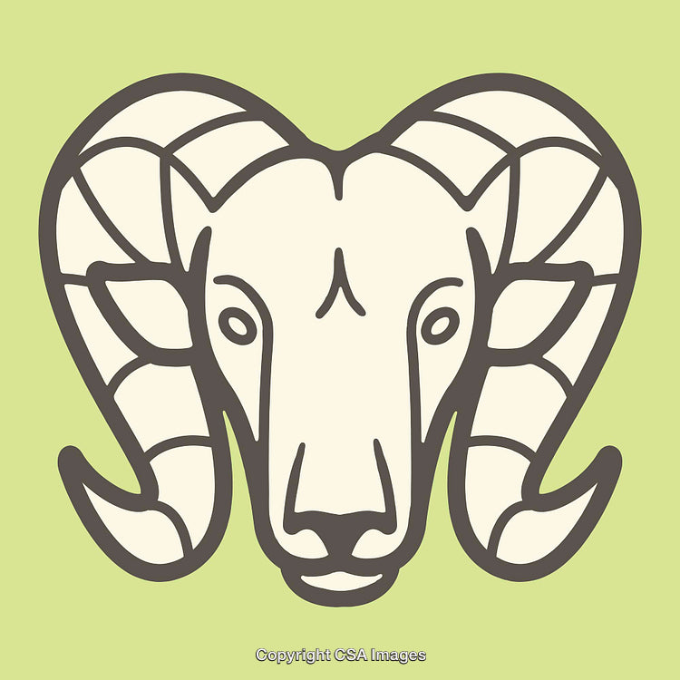 Stylized Illustration of a Ram's Head with Detailed Horns