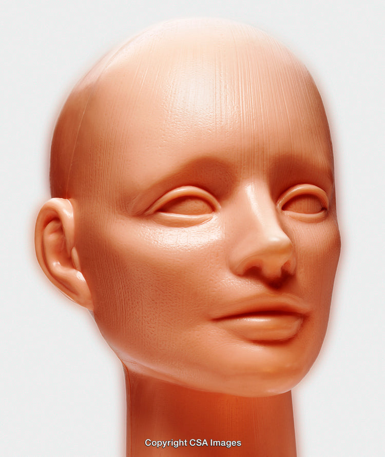 Realistic Plastic Head Depicting Human Features and Expressions
