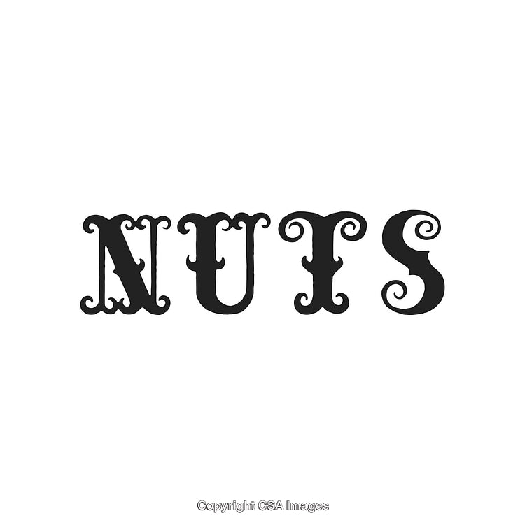 Unique Decorative Typography Display With Decorative Ornamental Font Design