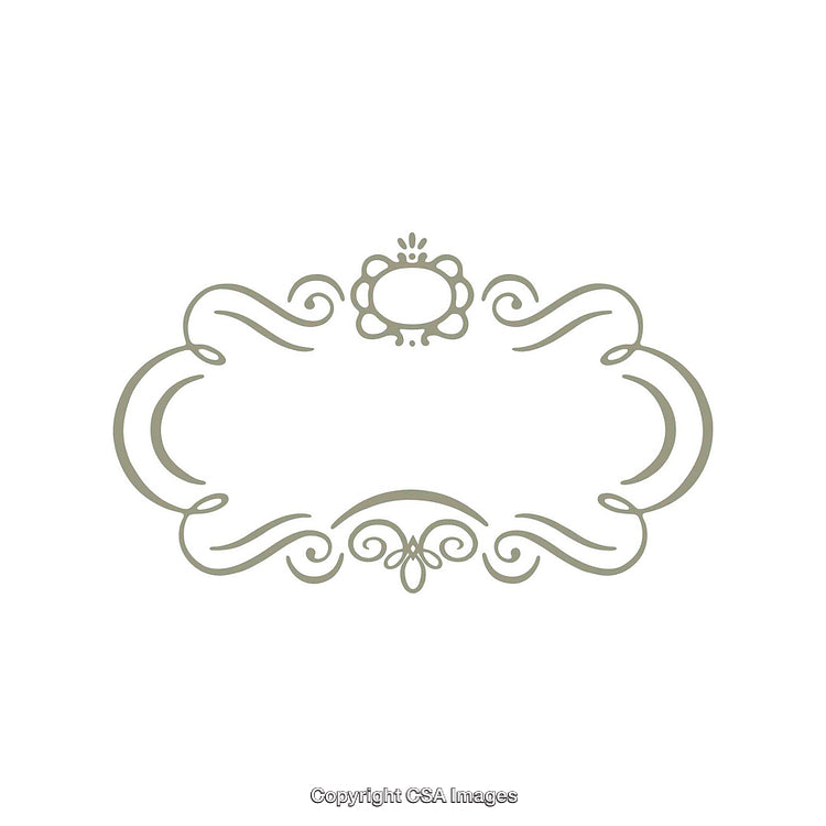 Elegant Vintage Ornamental Frame With Intricate Swirl Design on White Background
