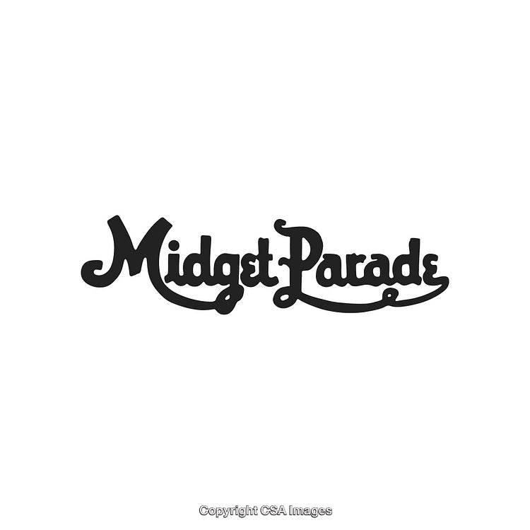 Ornate Script Typography Design with Decorative Flourishes in Monochrome Style