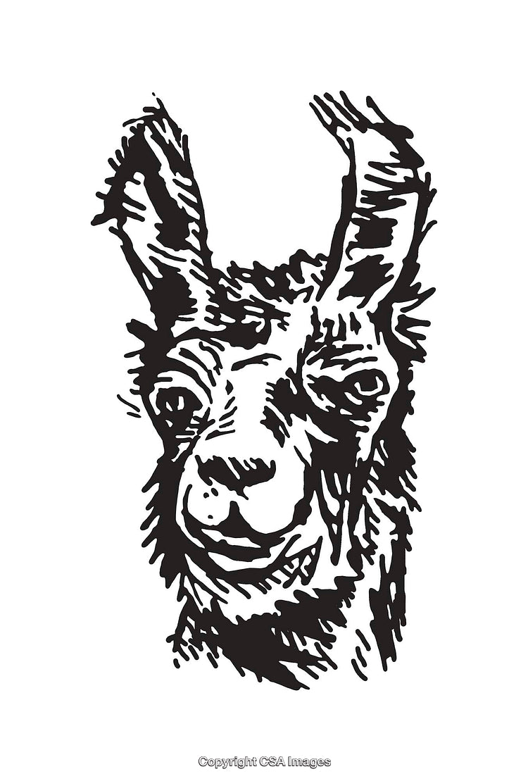 Black and White Line Art Illustration of a Llama