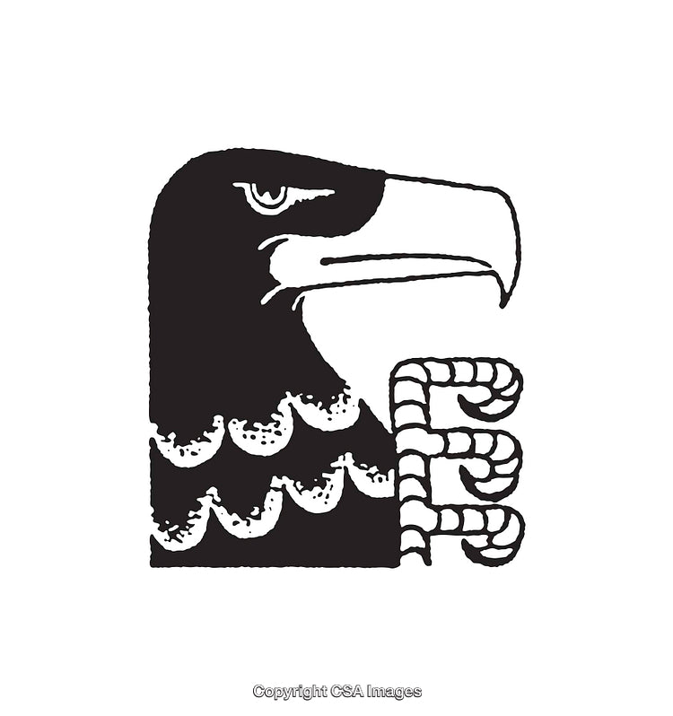 Black and White Line Art Illustration of an Eagle Head with Stylized Details