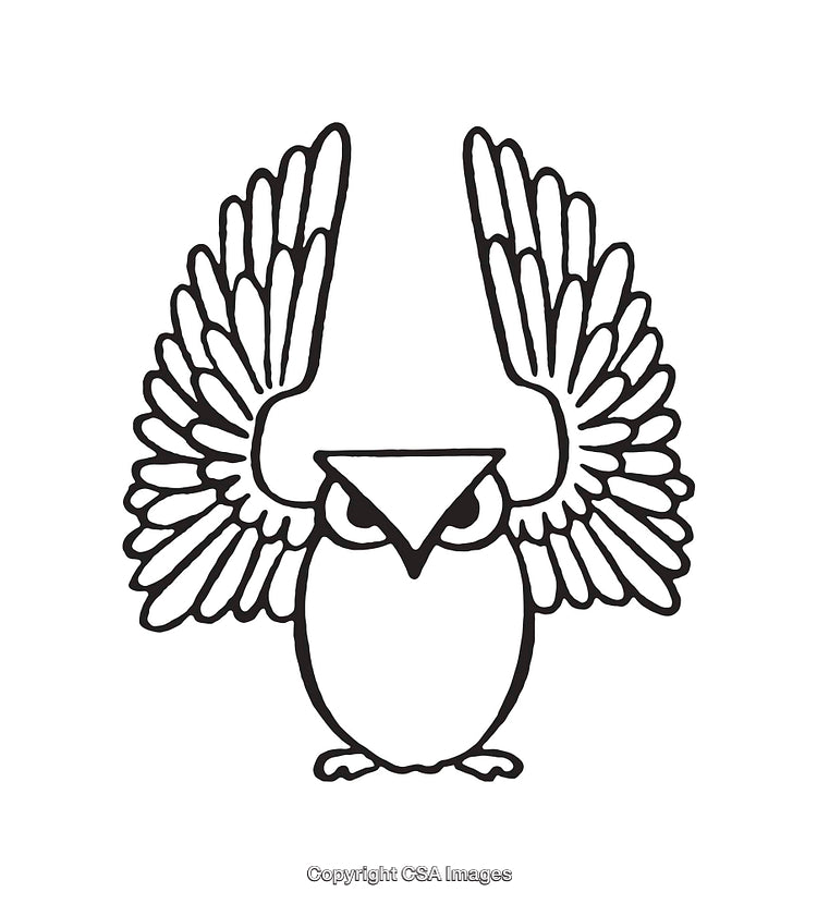 Black and White Line Art of a Stylized Owl with Spread Wings