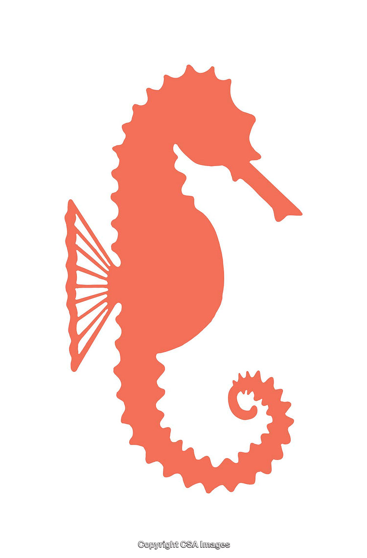 Silhouette Illustration of a Seahorse in Vibrant Coral Color