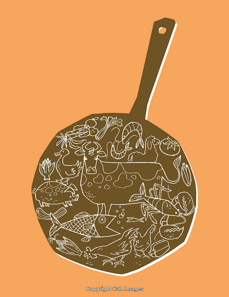 Stylized Illustration of Kitchen Pan Featuring Animals and Food Items
