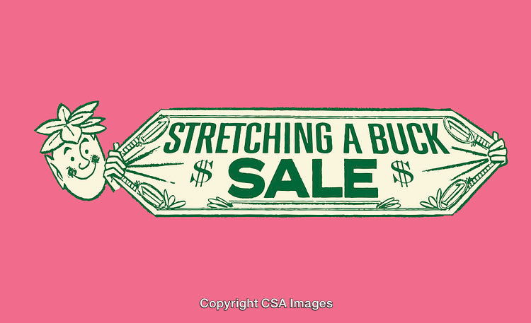 Vintage-Style Illustrative Sale Banner with Playful Strawberry Design