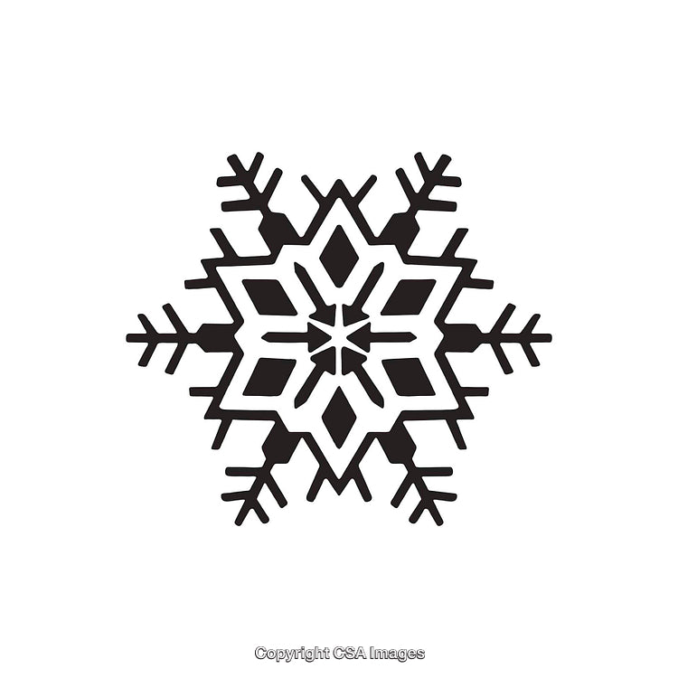 Black and White Snowflake Illustration in a Geometric Style
