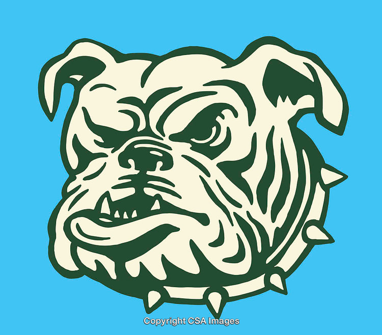 Colorful Bulldog Head Illustration with Bold Cartoon Style Line Art