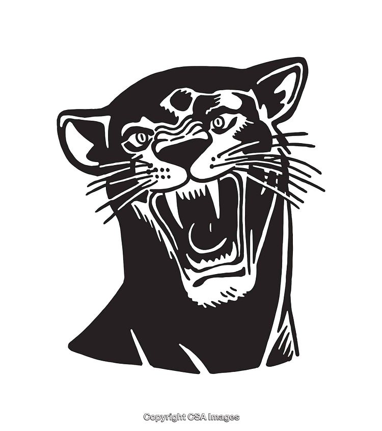 Fierce Black Panther Roaring in Retro Illustrated Style
