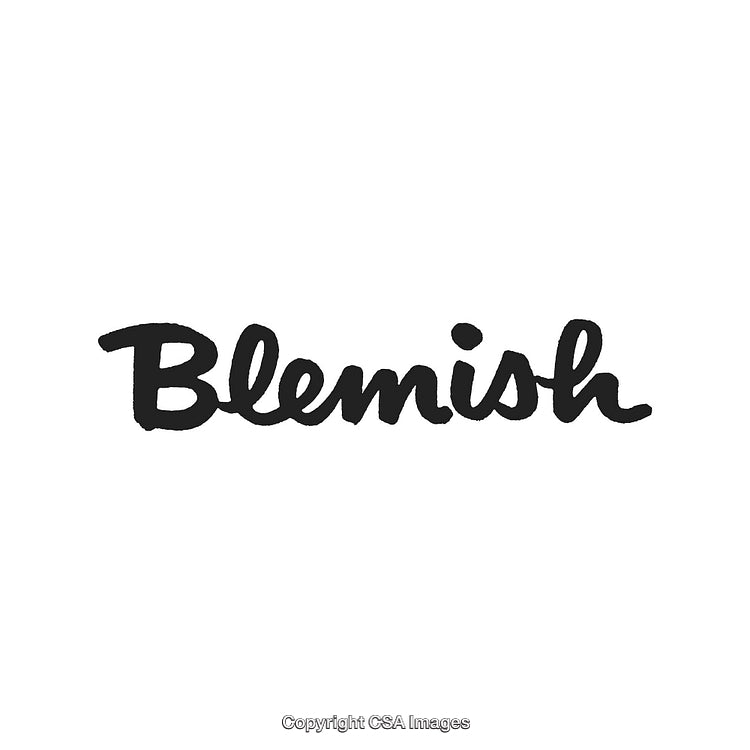 Stylized Typography Design Featuring the Word 'Blemish' in Black Script