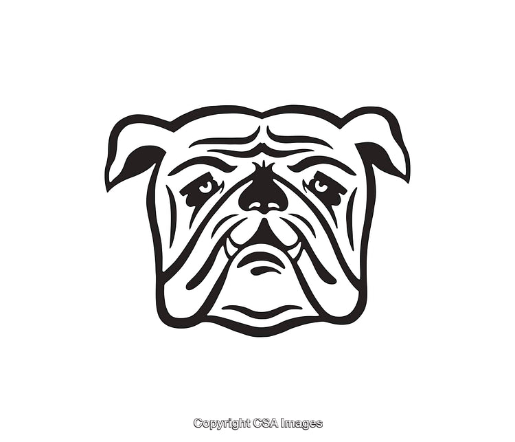 Black and White Line Art Illustration of Bulldog Face with Classic Features