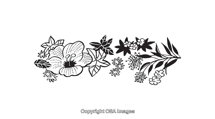Black and White Floral Line Art Design for Elegant Nature Concepts