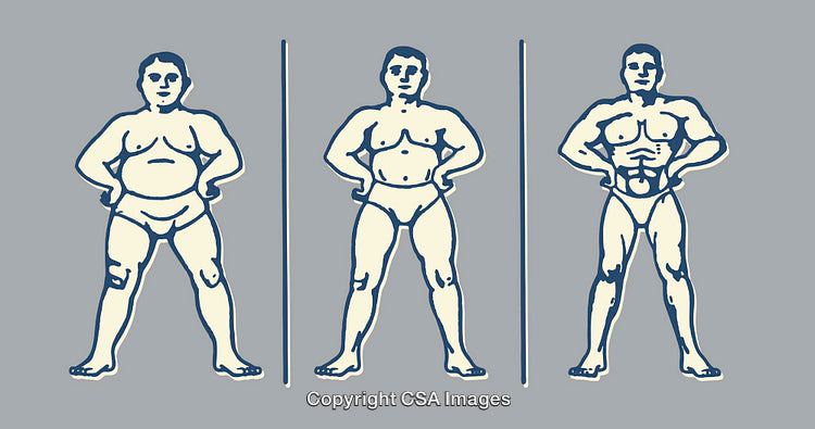 Illustration Depicting Muscle Growth Through Phases of Fitness Progress