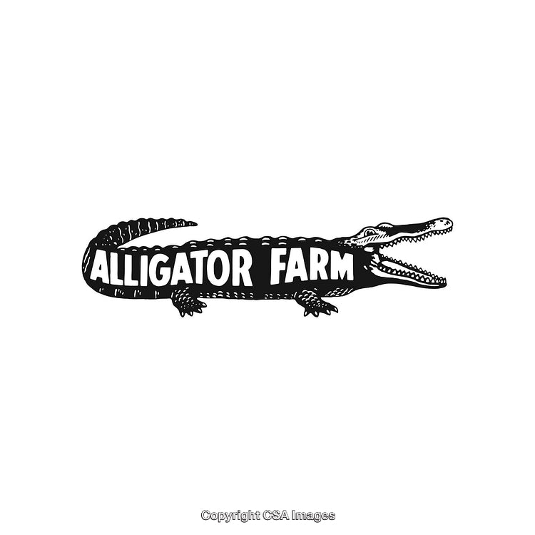 Illustration of Alligator Farm Text Inside Reptile Silhouette Design