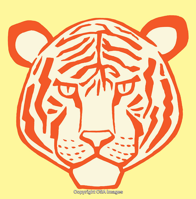 Vibrant Line Art Illustration of a Tiger's Face in Warm Tones