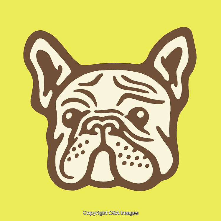 Illustrated French Bulldog on Bright Yellow Background in Artistic Style
