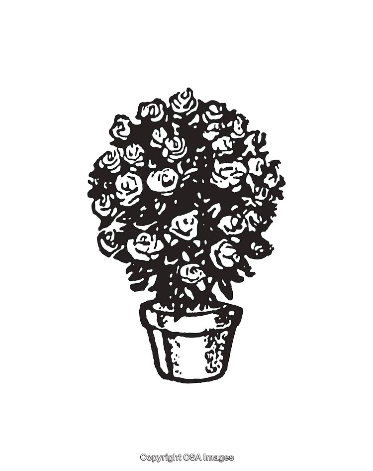 Intricate Black and White Line Art of Potted Flowering Plant