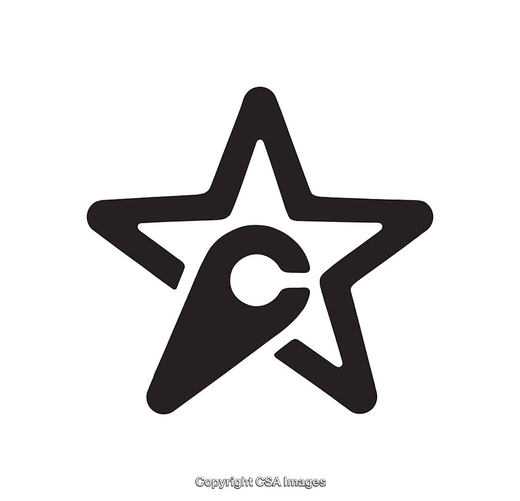 Monochromatic Five-Pointed Star Icon with Abstract Design Elements Inside