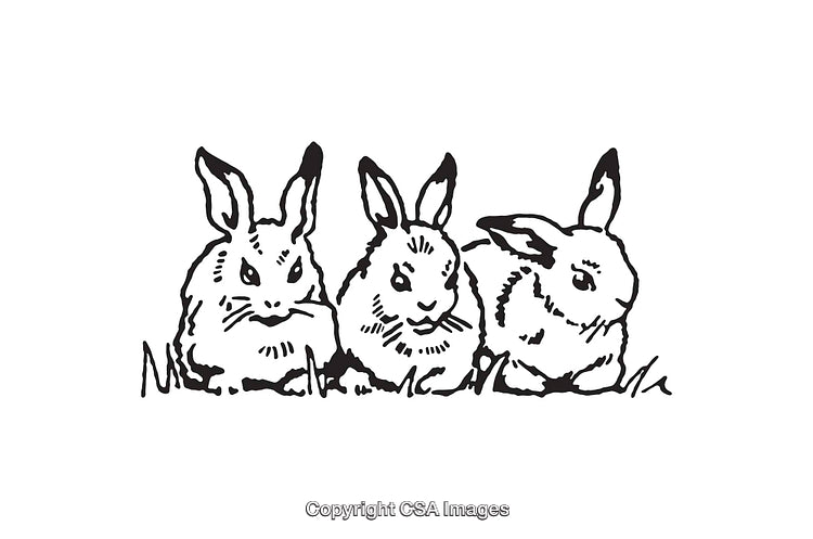Three Playful Rabbits Illustrated in Black and White Line Art Style