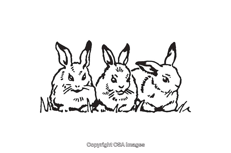 Three Playful Rabbits Illustrated in Black and White Line Art Style