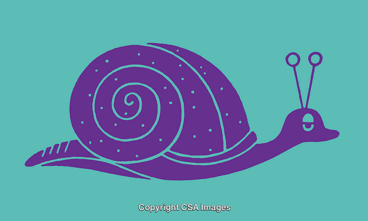 Purple Snail Illustration on Turquoise Background in Minimalist Line Art Style