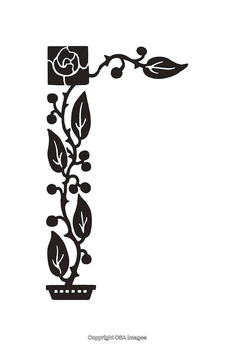 Black and White Rose Plant Outline with Stylized Leaves and Flowers