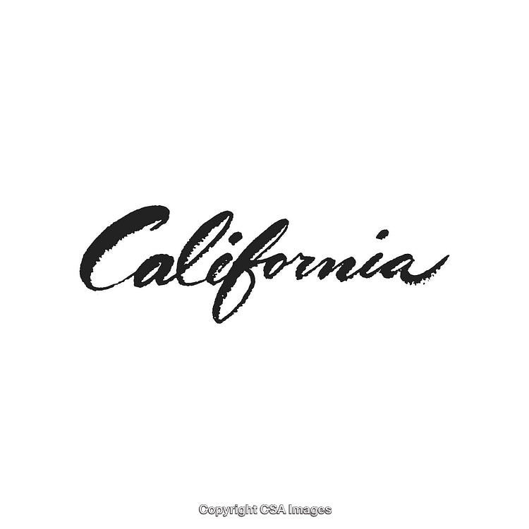 Handwritten 'California' Text with Artistic and Stylish Brush Script Font