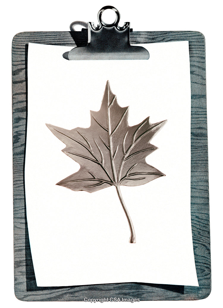 Leaf Art Displayed on Clipboard Against Wood Background