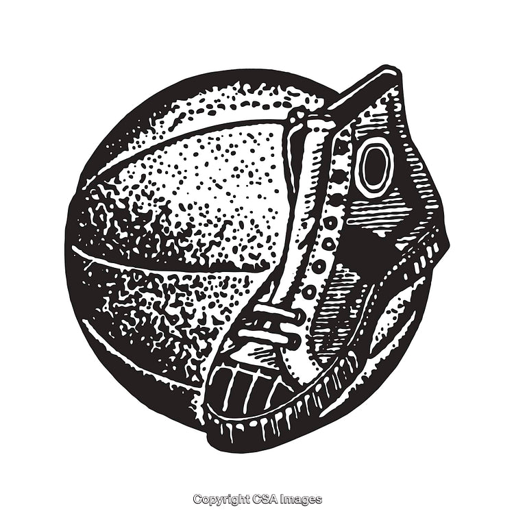 Black And White Line Art of Basketball and Shoe Illustration