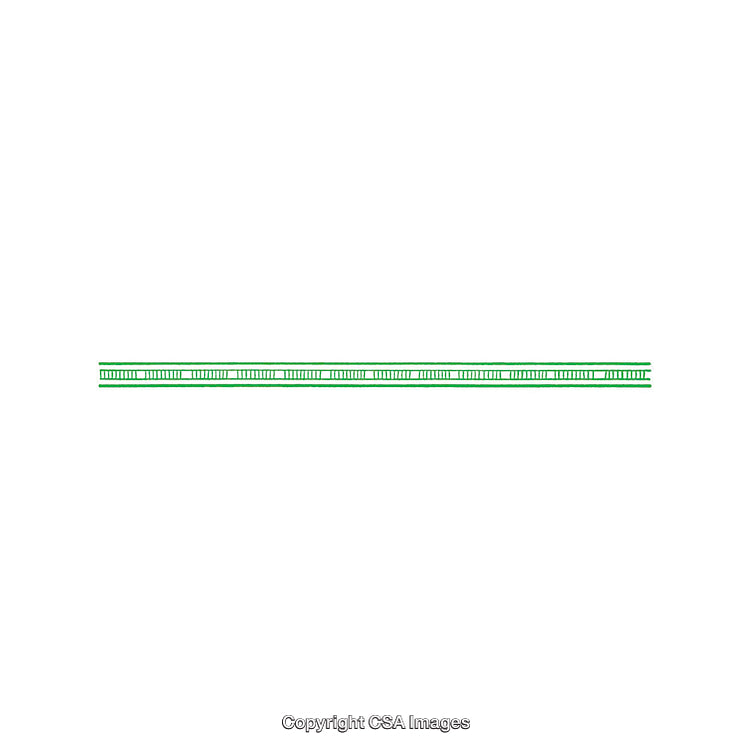 Long Green Double Line with Even Dashes Representing a Measure or Border