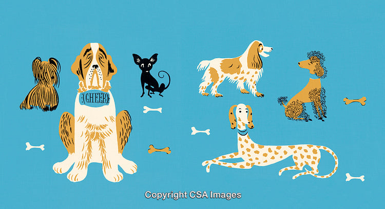 Cute Illustration of Playful Dogs of Various Breeds on Blue Background