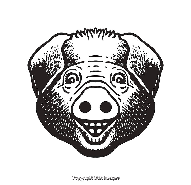 Smiling Pig Head Line Art Illustration in Black and White Design