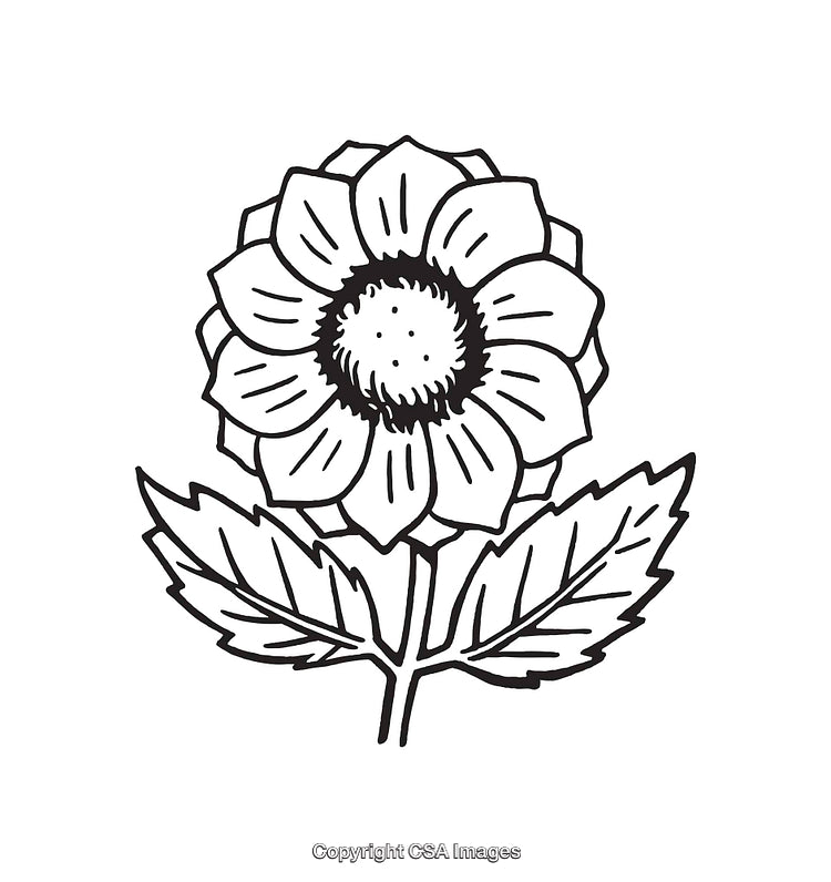 Black and White Line Drawing of a Detailed Flower with Leaves