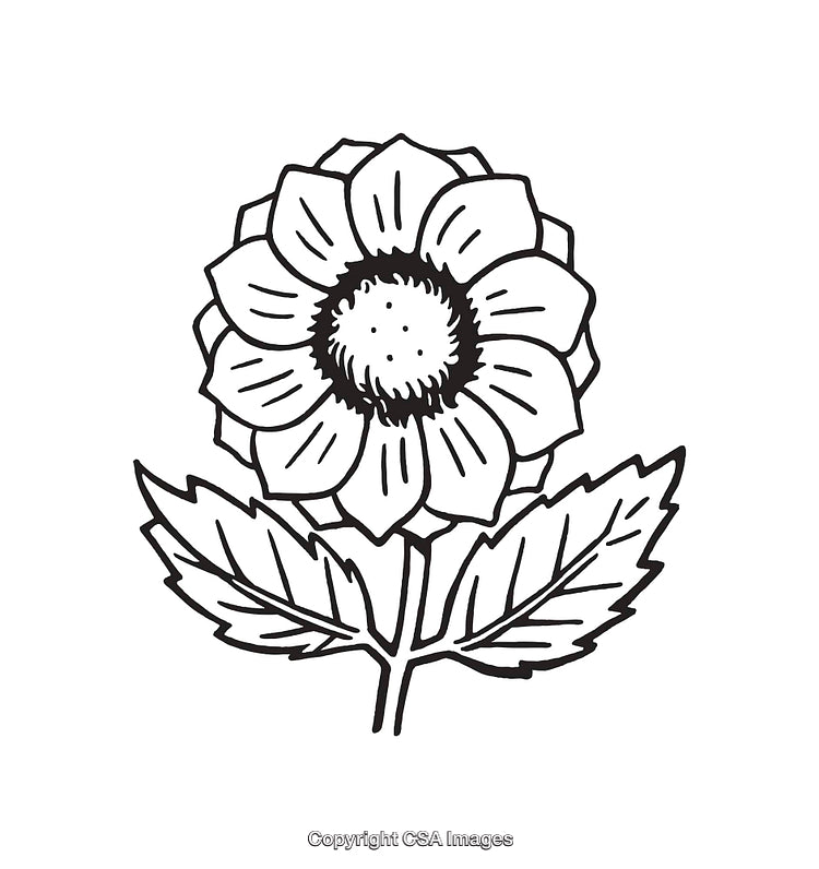 Black and White Line Drawing of a Detailed Flower with Leaves