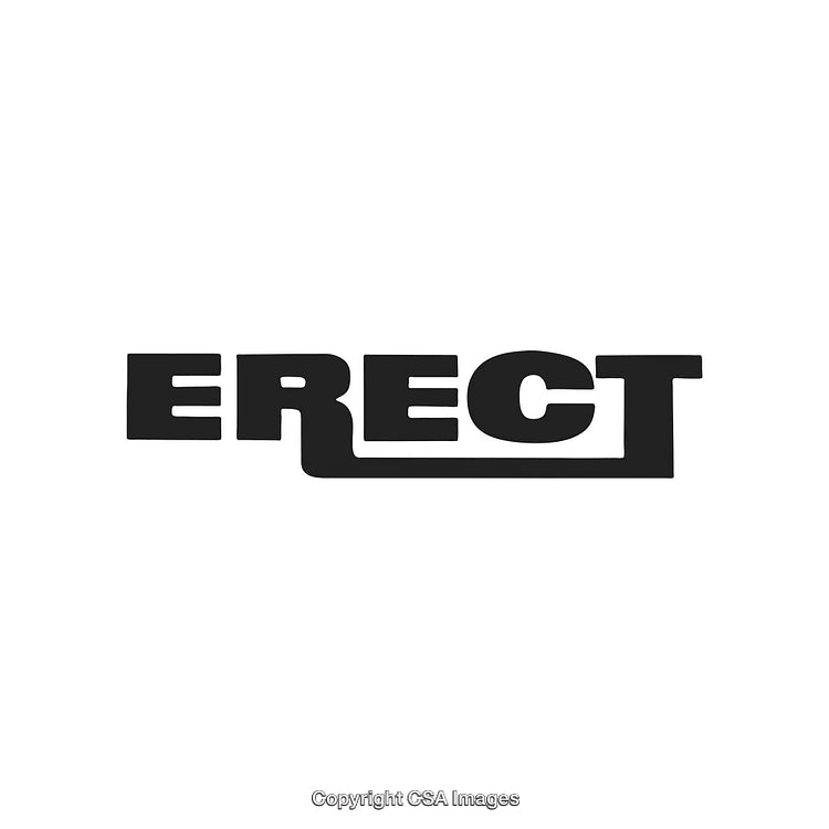 Bold Serif Typography Design Featuring the Word ERECT in Black Print