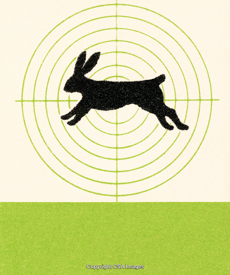 Silhouette of a Rabbit with Targeting Graphic Design Art