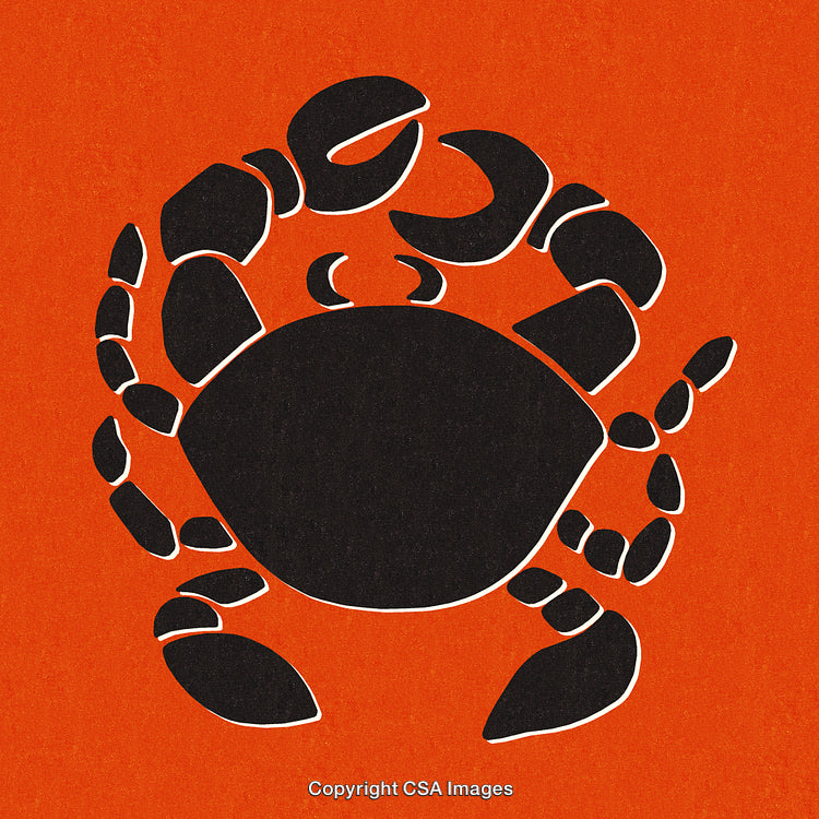 Abstract Minimalist Crab Silhouette on Bold Red Background for Artistic Touch