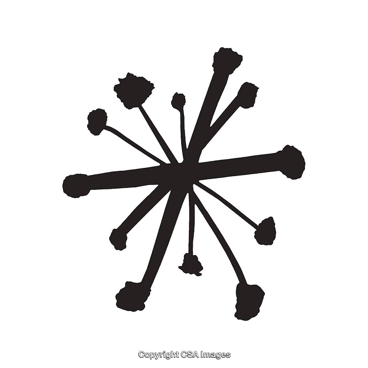 Abstract Black and White Floral Design with Unique Minimalist Style