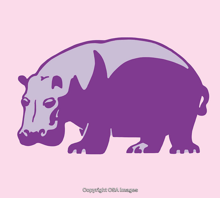 Purple Line Art Illustration of Hippopotamus on Pink Background