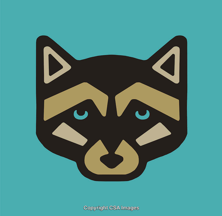 Stylized Line Art Illustration of a Raccoon Face on a Teal Background