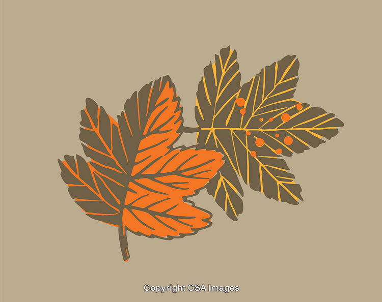 Colorful Artistic Line Art Illustration of Autumn Leaves